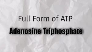 Full Form Of ATP Adenosine Triphosphate