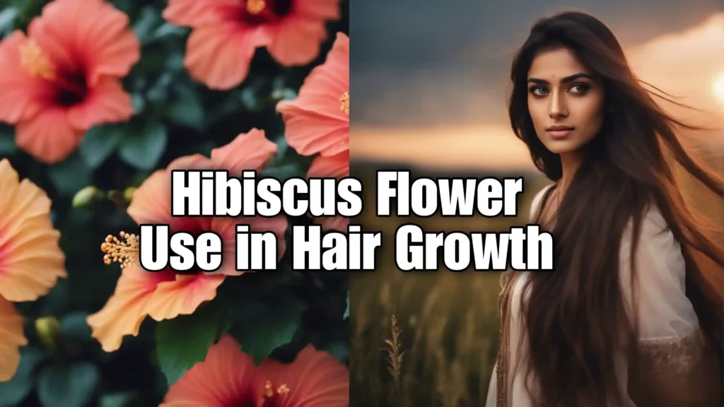 hibiscus flower use for hair growth 
