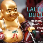 Laughing Buddha Meaning History Benifits Types Photos