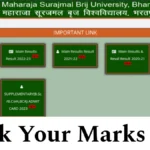 Maharaja Surajmal Brij University Result 2023