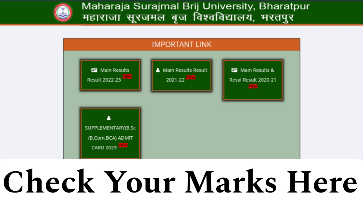 Maharaja Surajmal Brij University Result 2023
